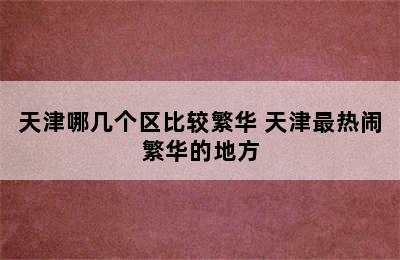 天津哪几个区比较繁华 天津最热闹繁华的地方